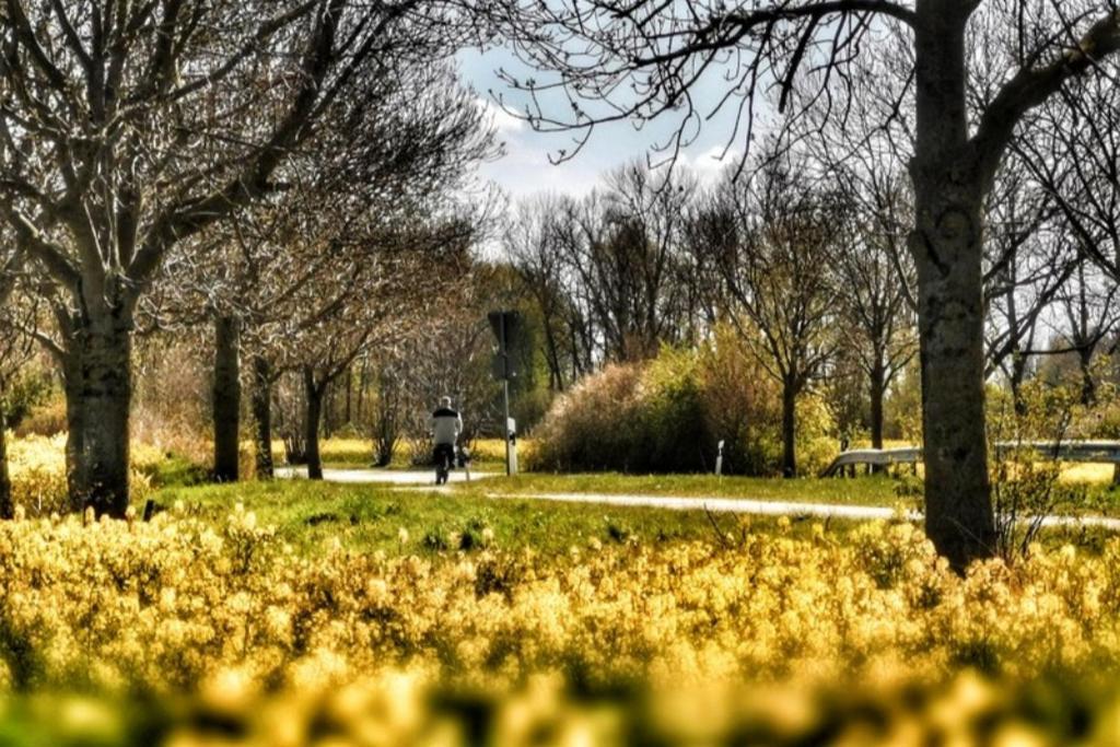 Apartmentvermittlung Mehr Als Meer - Objekt 11 تيميندورفير ستراند المظهر الخارجي الصورة